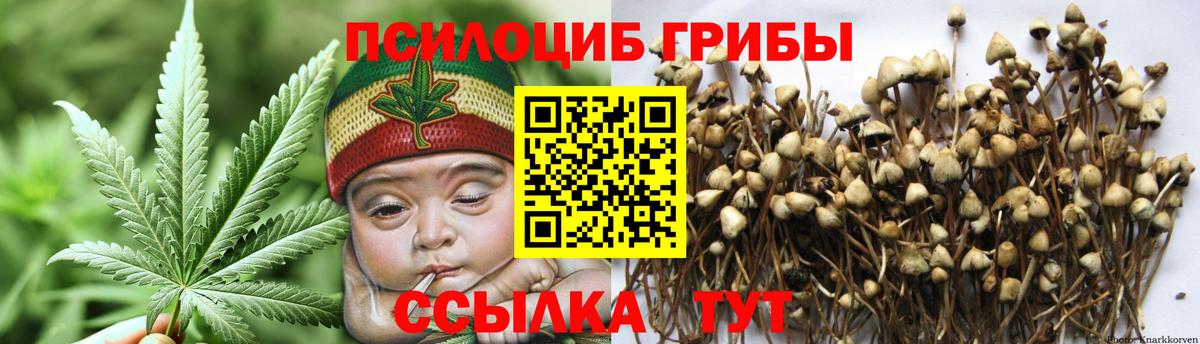 Галлюциногенные грибы Magic Shrooms  Вход с VPN  Свободный 